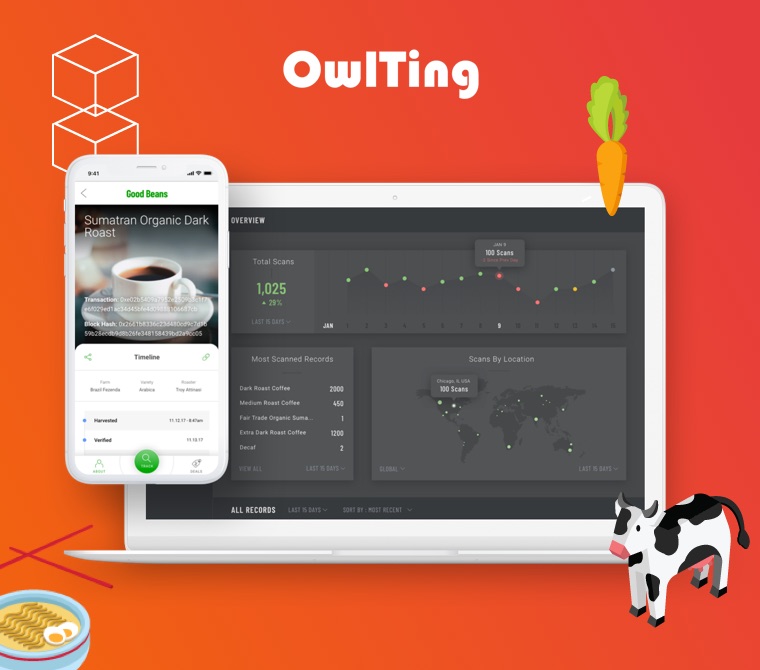 OwlTing Cover
