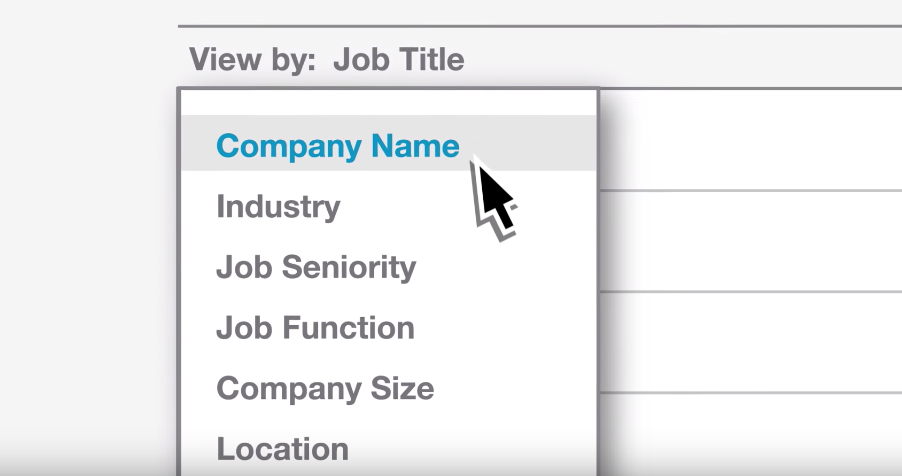 LinkedIn Website Demographics