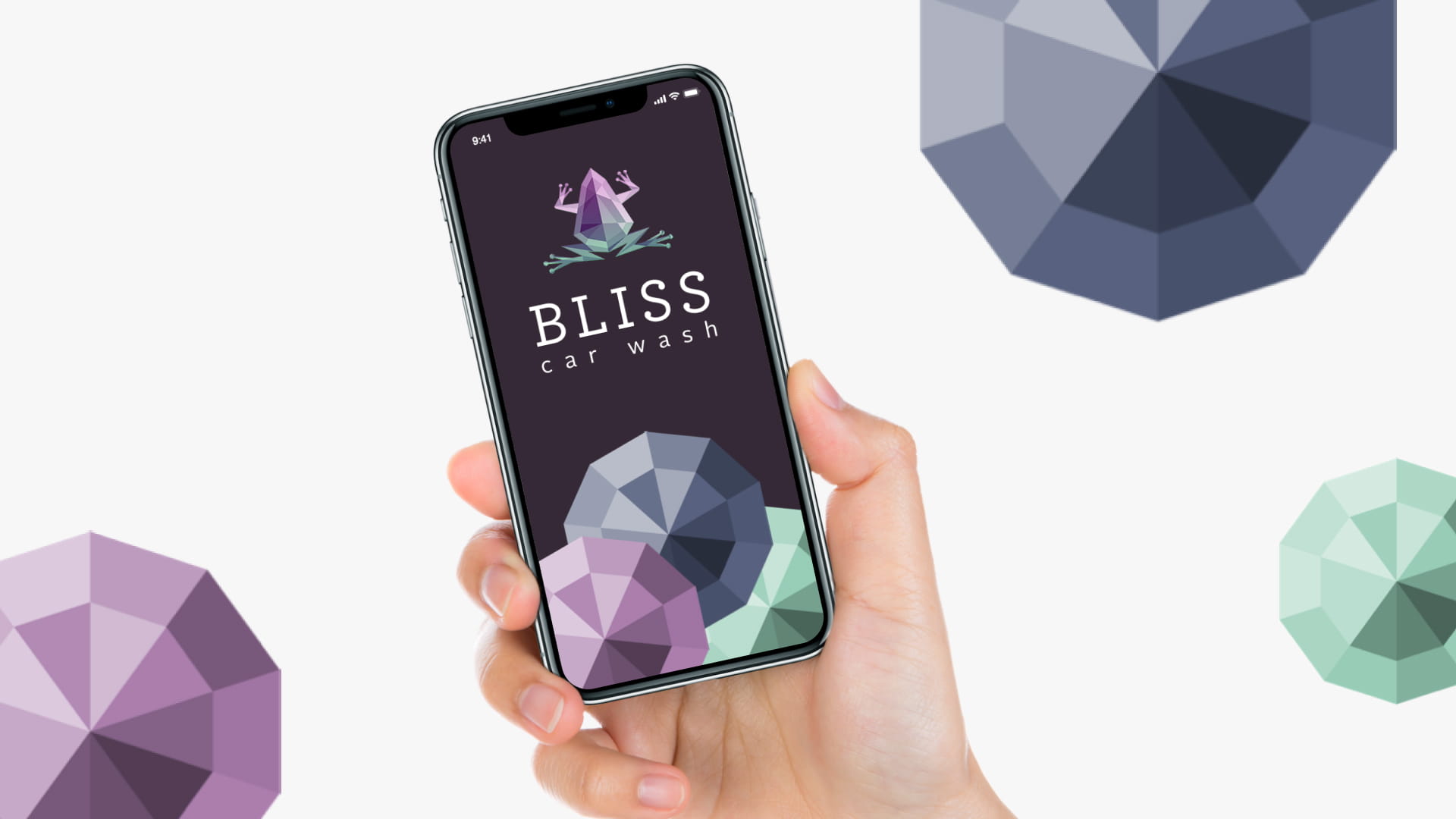 Bliss Case Study