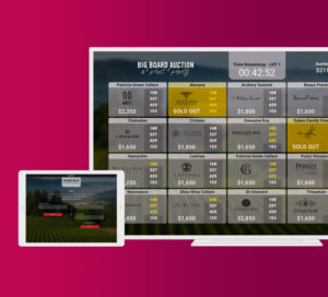 Salud Big Board Auction web application development