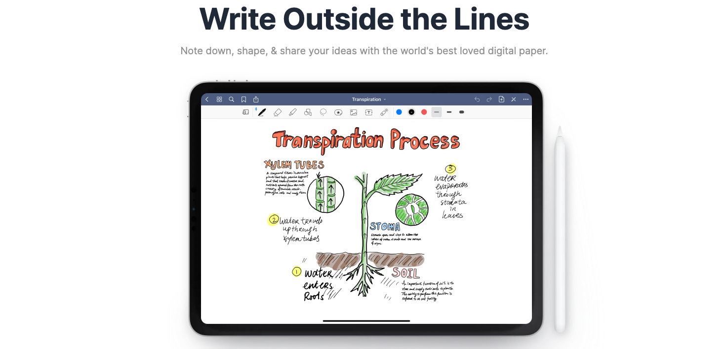 Transpiration Process